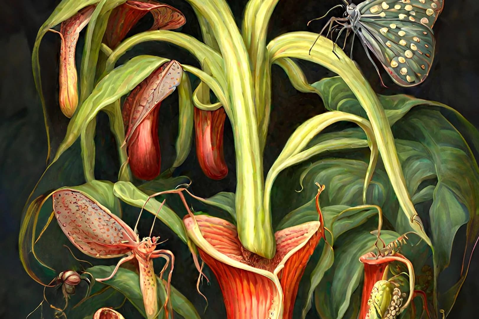 Fragmentos de cidades